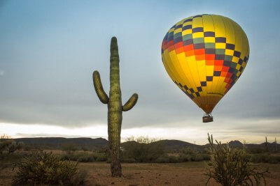 The Top 5 Ways to Explore Scottsdale's Sonoran Desert | Rainbow Ryders